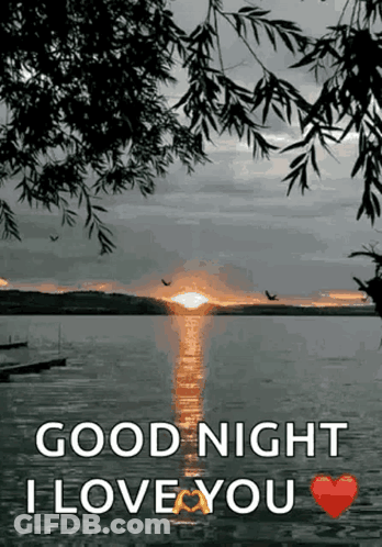 A Sunset Over A Body Of Water With The Words Good Night I Love You GIF