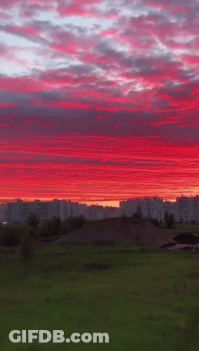 A Sunset Over A City With Buildings In The Distance GIF