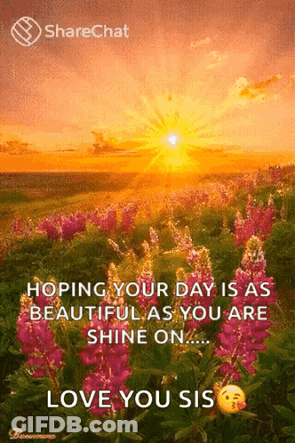 A Sunset Over A Field Of Flowers With The Words " Hoping Your Day Is As Beautiful As You Are Shine On ... " GIF