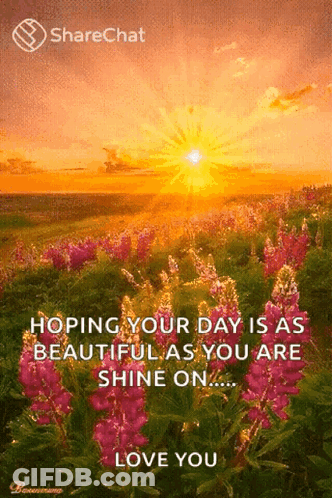 A Sunset Over A Field Of Pink Flowers With A Quote From Sharechat GIF