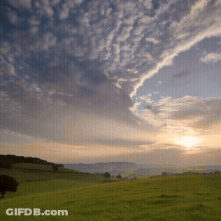 A Sunset Over A Grassy Field With Trees In The Distance GIF