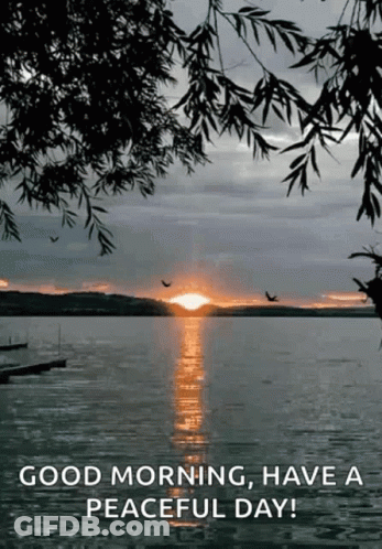 A Sunset Over A Lake With Birds Flying Over It GIF