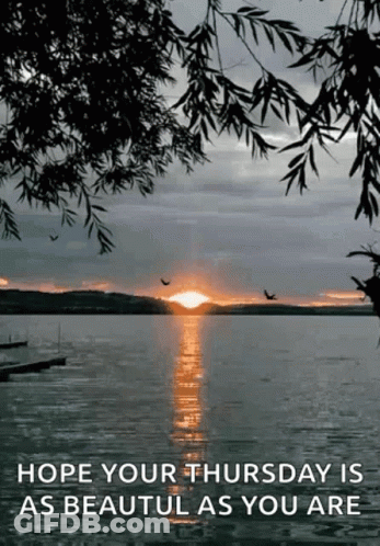 A Sunset Over A Lake With Birds Flying Over It GIF