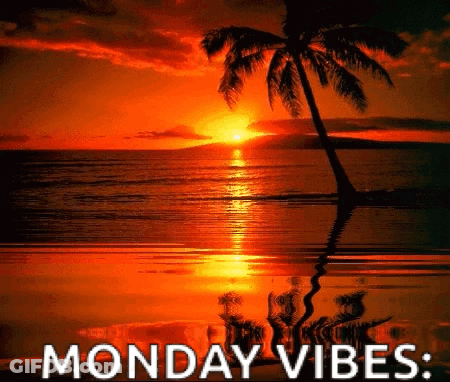 A Sunset Over The Ocean With A Palm Tree In The Foreground And The Words Monday Vibes GIF