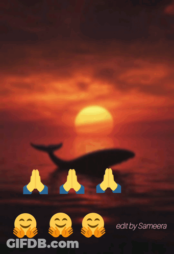 A Sunset With A Whale In The Background And The Words Goodm Rnin All Fyo Hav Av R Be Ti Uld Y GIF