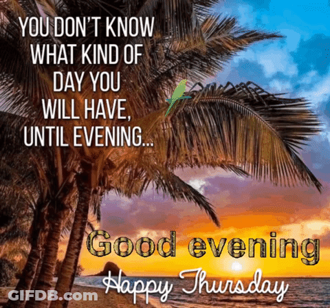 A Sunset With Palm Trees And The Words Good Evening Happy Thursday GIF