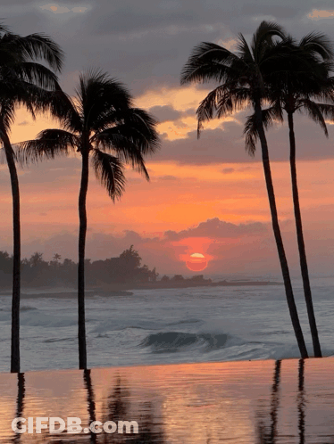 Sunset With Palm Trees And Pool GIF