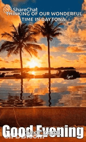 A Sunset With Palm Trees In The Foreground And The Words Good Evening GIF