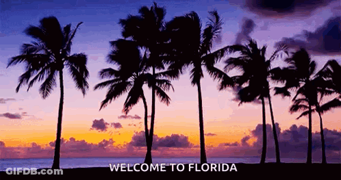 A Sunset With Palm Trees In The Foreground And The Words Welcome To Florida Below Them GIF