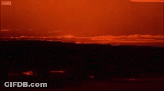 A Sunset With The Bbc Logo In The Upper Right Corner GIF