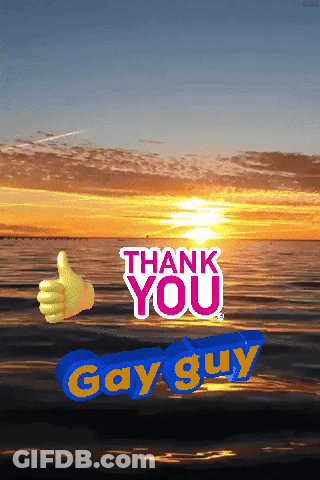 A Sunset With The Words Thank You Gay Guy In The Foreground GIF