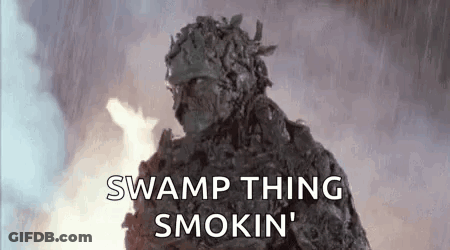 A Swamp Thing Is Standing In Front Of A Fire And Says `` Swamp Thing Smokin '' . GIF