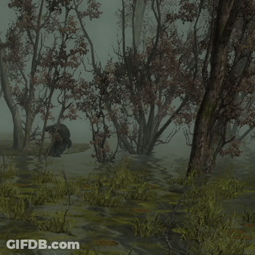 A Swamp With Trees And A Frog In The Water GIF