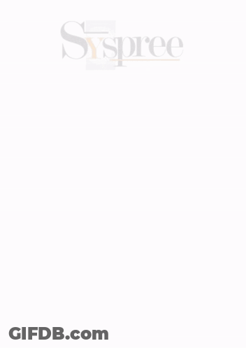 A Syspree Web Design Company In Mumbai Ad GIF