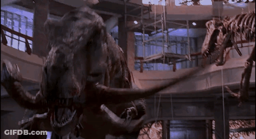A T-Rex And A T-Rex Skeleton Are In A Museum GIF