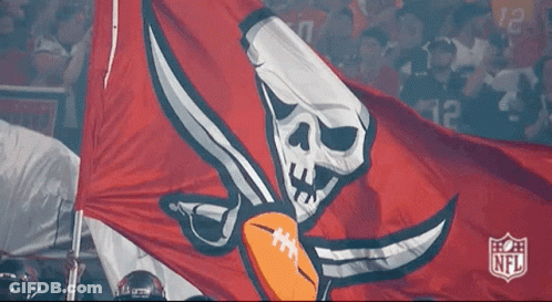 A Tampa Bay Buccaneers Flag With A Skull And Crossbones On It GIF