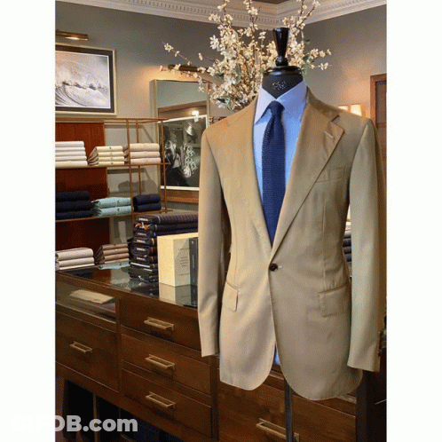 A Tan Suit With A Blue Tie Is On Display In A Store GIF