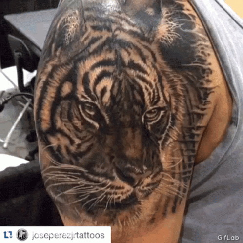 A Tattoo Of A Tiger On A Man 'S Arm Has Joseperezjtattoos Written On The Bottom GIF