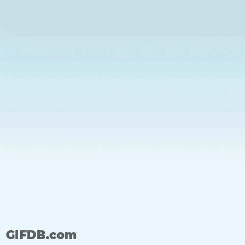 A Teddy Bear And A Dog Are Wearing Sunglasses GIF