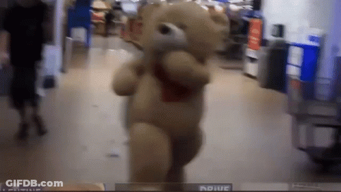 A Teddy Bear In A Store With A Sign That Says Adiue On It GIF