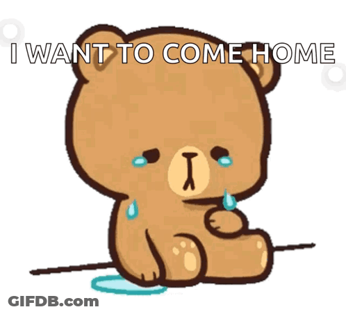A Teddy Bear Is Crying With The Words I Want To Come Home GIF