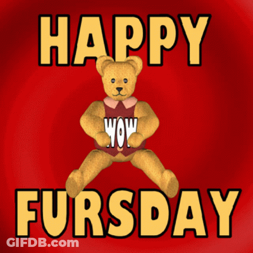 A Teddy Bear Is Holding A Sign That Says Wow On It GIF