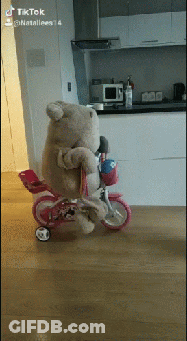 A Teddy Bear Is Riding A Pink Bike With A Basket On It GIF