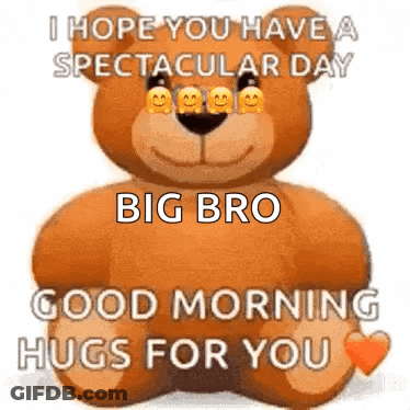 A Teddy Bear Is Sitting Down And Says `` I Hope You Have A Spectacular Day Big Bro Good Morning Hugs For You '' GIF