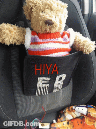 A Teddy Bear Is Sitting In A Car Seat With The Name Hiya Written On It GIF