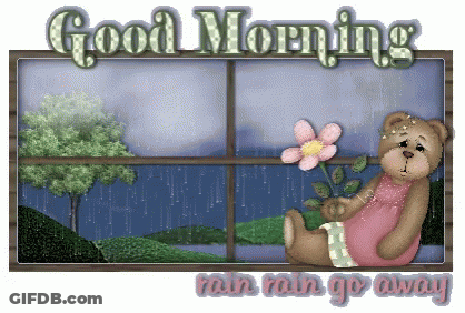 A Teddy Bear Is Sitting In Front Of A Window With A Flower And The Words Good Morning Rain Rain Go Away GIF