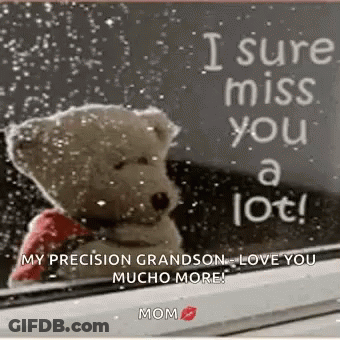 A Teddy Bear Is Sitting In Front Of A Window With A Sign That Says `` I Sure Miss You A Lot '' . GIF