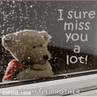 A Teddy Bear Is Sitting In Front Of A Window With A Sign That Says `` I Sure Miss You A Lot ! `` GIF