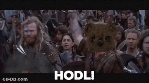 A Teddy Bear Is Standing In Front Of A Crowd Of People With The Word Hodl Written On The Bottom . GIF