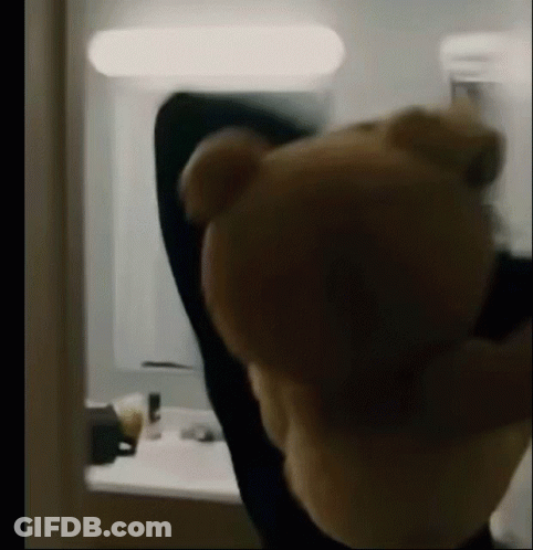 A Teddy Bear Is Standing In Front Of A Mirror In A Room . GIF