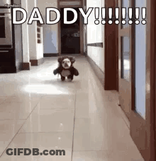A Teddy Bear Is Walking Down A Hallway And Says `` Daddy '' . GIF