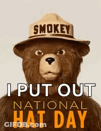 A Teddy Bear Is Wearing A Smokey Hat And Says I Put Out National Hat Day GIF