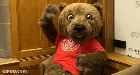 A Teddy Bear Mascot Is Sitting In A Chair Wearing A Red Shirt GIF