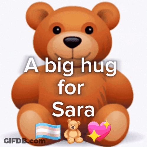A Teddy Bear Says " A Big Hug For Sara " GIF