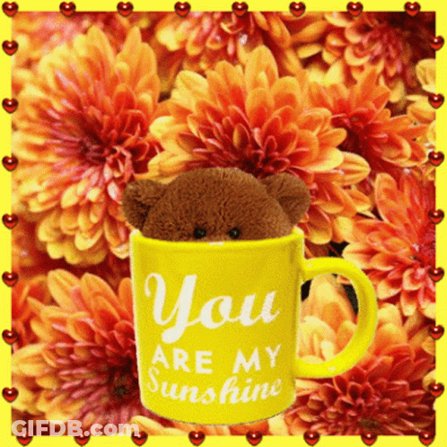 A Teddy Bear Sits In A Yellow Mug That Says You Are My Sunshine GIF