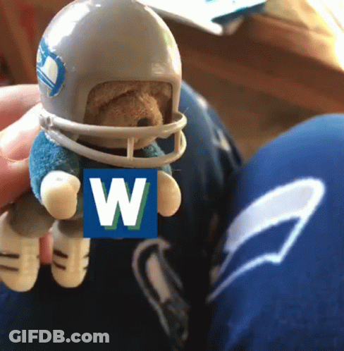 A Teddy Bear Wearing A Football Helmet And Holding A Sign With The Letter W On It GIF