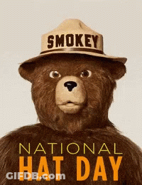 A Teddy Bear Wearing A Hat That Says Smokey GIF