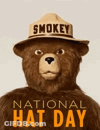 A Teddy Bear Wearing A Hat That Says Smokey GIF