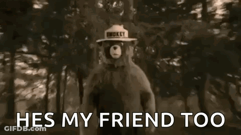 A Teddy Bear Wearing A Hat With The Words `` He 'S My Friend Too '' On It . GIF