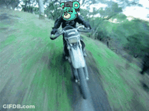 A Teddy Bear Wearing A Helmet Is Riding A Dirt Bike GIF