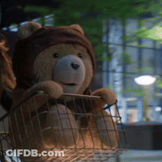 A Teddy Bear Wearing A Helmet Is Sitting In A Wire Basket GIF