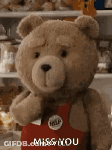 A Teddy Bear Wearing A Red Apron And A Button That Says `` Miss You '' Is Standing In A Store . GIF