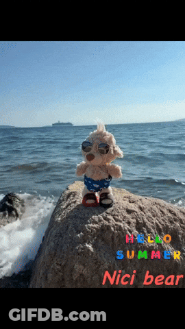 A Teddy Bear Wearing Swim Trunks And Sunglasses Is Standing On A Rock Near The Ocean GIF