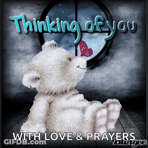 A Teddy Bear With A Butterfly On Its Nose Says Thinking Of You GIF