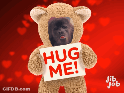 A Teddy Bear With A Picture Of A Man On It Holding A Sign That Says Hug Me GIF