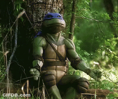 A Teenage Mutant Ninja Turtle Is Sitting In The Woods GIF